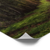 ライムツリーパス ポスター (角)