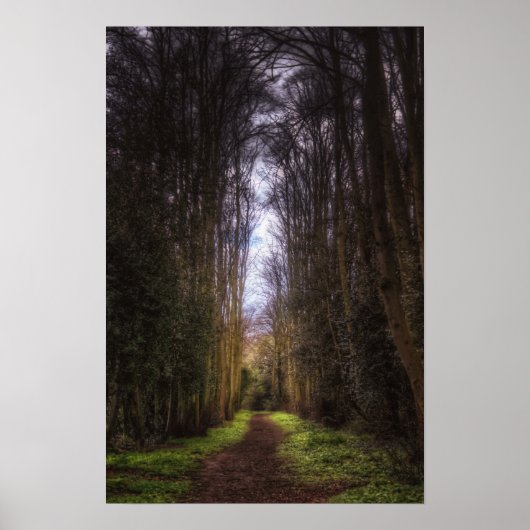 ライムツリーパス ポスター (正面)