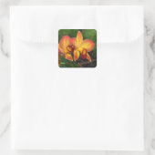 ライムナカットレアナラブタペストリー スクエアシール (バッグ)