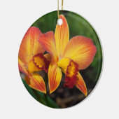 ライムナカットレアナラブタペストリー セラミックオーナメント (左)