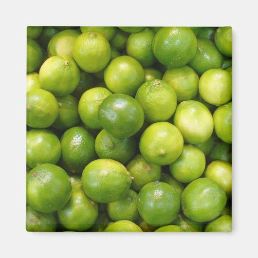 ライムマグネット01 マグネット (正面)