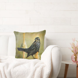 ライムライトの装飾用クッション クッション