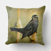 ライムライトの装飾用クッション クッション (正面)