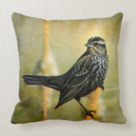 ライムライトの装飾用クッション クッション