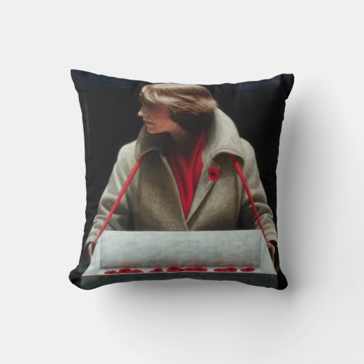 ライムライト1979年 クッション (正面)