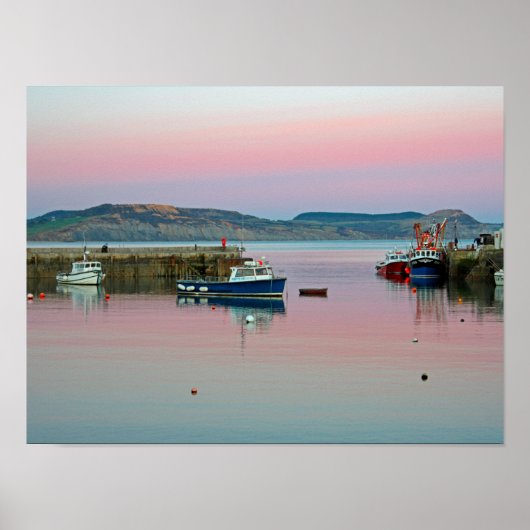 ライムレジス ポスター (正面)