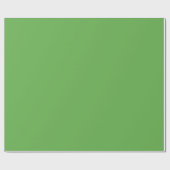 ライム無地のカラーラッピング紙 ラッピングペーパー (フラット)