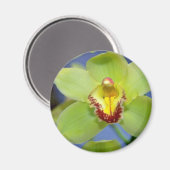 ライム状花 マグネット (正面/裏面)