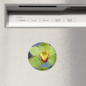 ライム状花 マグネット (インサイチュ (食洗機))