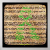 ライム病感覚のポスター、拒否、無視 ポスター (正面)