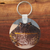 ライム キーホルダー (正面)