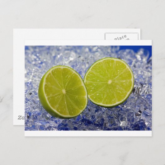 ライム ポストカード (正面/裏面)