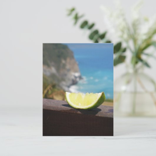 ライム ポストカード (スタンド正面)