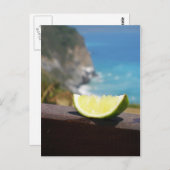 ライム ポストカード (正面/裏面)