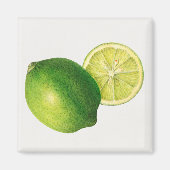 ライム マグネット (正面)