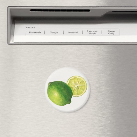 ライム マグネット (インサイチュ (食洗機))