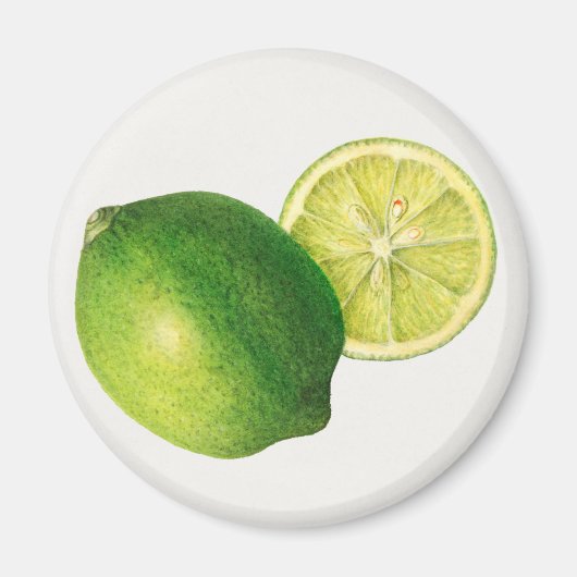 ライム マグネット (正面)