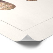 ライム(Citrus Aurantiifolia)水彩色絵画の ポスター (角)