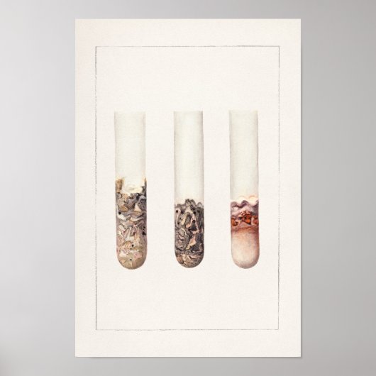 ライム(Citrus Aurantiifolia)水彩色絵画の ポスター (正面)