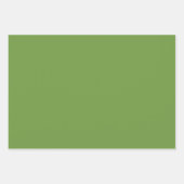 ライメード無地のカラー |クラシック |エレガント | ラッピングペーパーシート (正面)