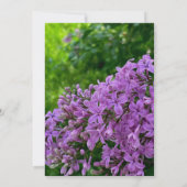 ライラエレガントックス紫ラベ結婚ンダー 招待状 (裏面)