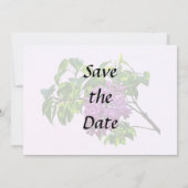 ライラックが咲き始めた セーブザデート (裏面)