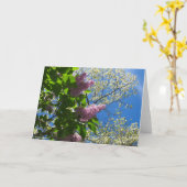 ライラックとさくらんぼの花 – マーサのブドウ園 カード (黄色い花)