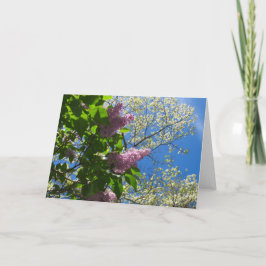 ライラックとさくらんぼの花 – マーサのブドウ園 カード