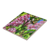 ライラックののまわりにLandng タイル (側面)