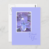 ライラックの悔やみや弔慰か死は郵便はがき感謝していしています ポストカード (正面/裏面)