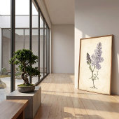 ライラックの植物学的研究 キャンバスアート ポスター
