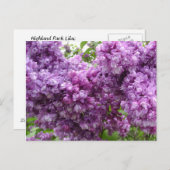 ライラックの花が咲く ポストカード (正面/裏面)