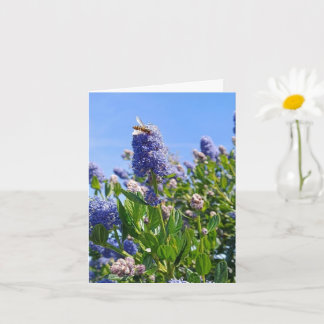 ライラックの花の空白カード カード