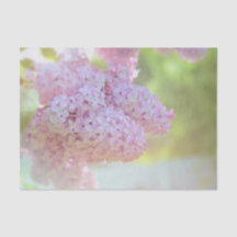 ライラックの花　薄紫　美しい地方
