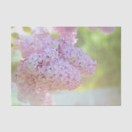 ライラックの花　薄紫　美しい地方 薄葉紙