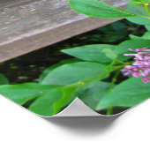 ライラックの茂み、古い木の階段を這い上がる花 ポスター (角)