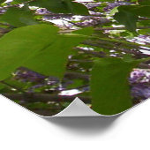 ライラックポスター ポスター (角)