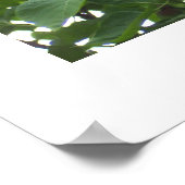 ライラックポスター ポスター (角)