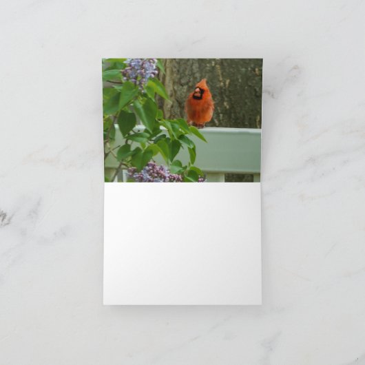 ライラック春 カード (内部)