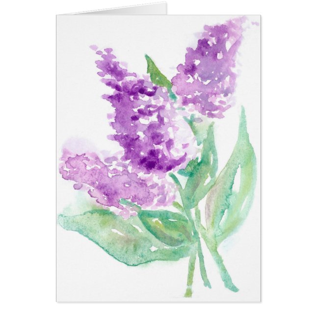 ライラック (正面)