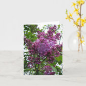 "ライラックchez moi " カード (黄色い花)