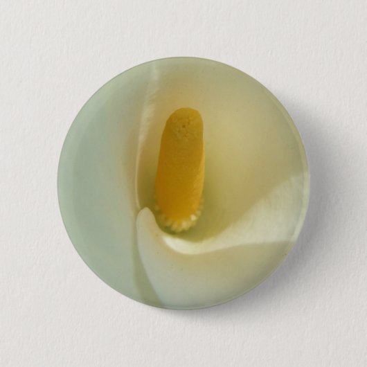 ライリボタン 缶バッジ (正面)