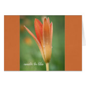 ライリーがParakaleoノートカードをフェードすることを考慮する (正面横)