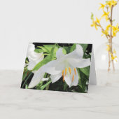ライリーグリーティングカード カード (黄色い花)