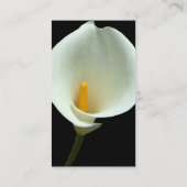 ライリーフラワービジネスカード 名刺 (裏面)