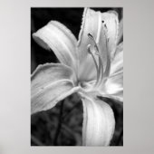 ライリーブック ポスター (正面)