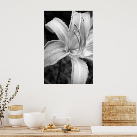 ライリーブック ポスター (キッチン)