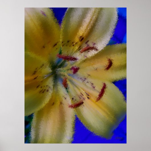 ライリーユリ花花写真 ポスター (正面)