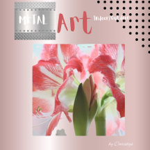 ライリーレッドホワイトベリゲットメタルプリント