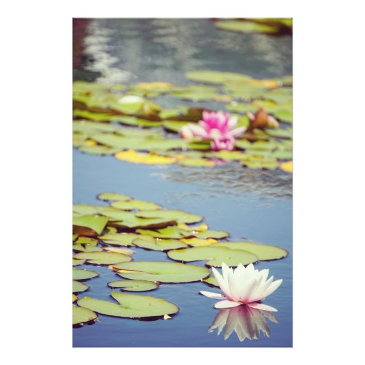ライリー池の花 フォトプリント            (正面)